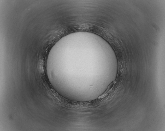 X0000113130962200909181706