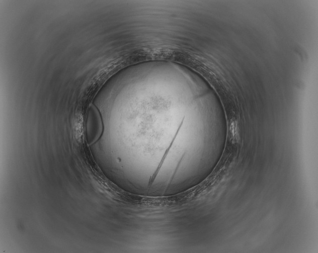 X0000113130963200909181706