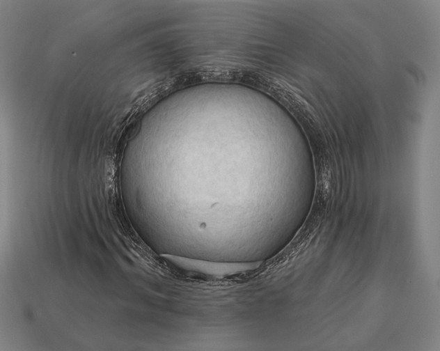 X0000113130964200909181706