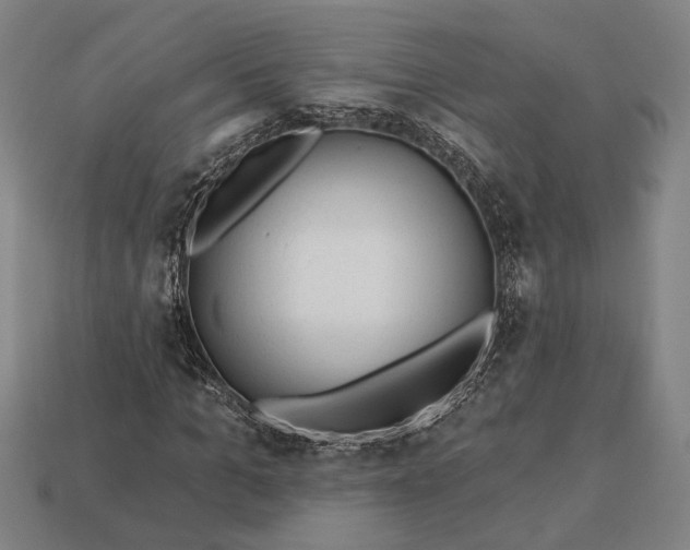 X0000113130965200909181706