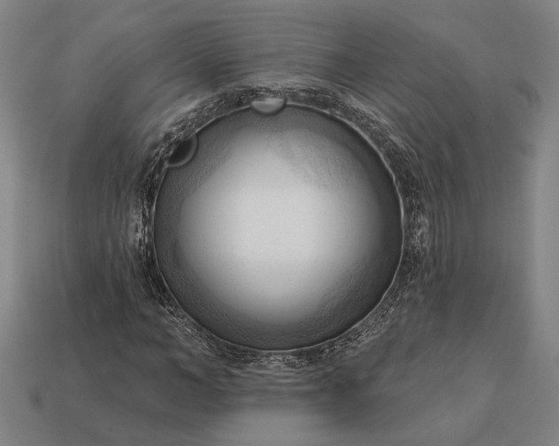 X0000113130966200909181706