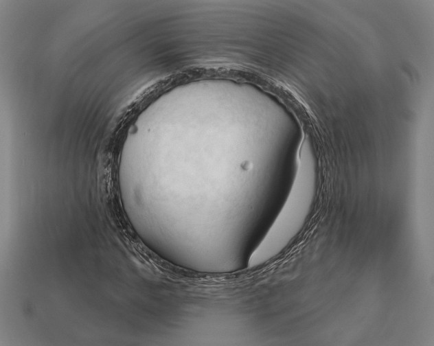 X0000113130968200909181706