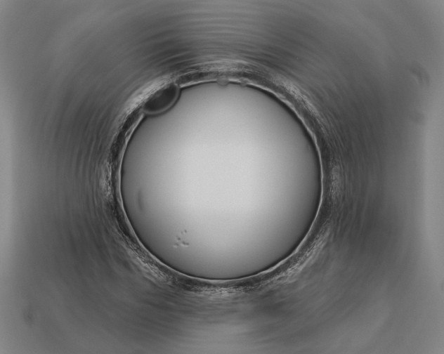 X0000113130970200909181706