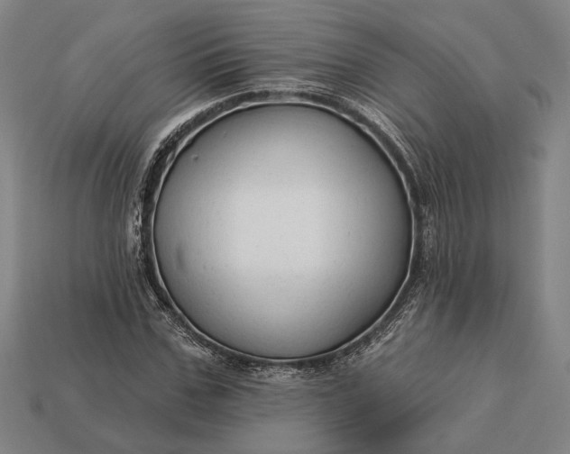 X0000113130971200909181706