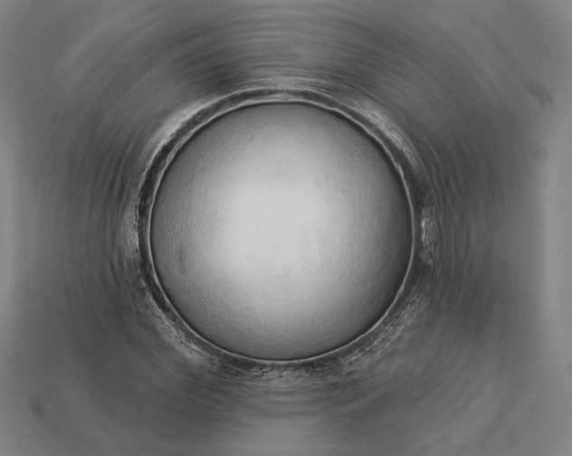 X0000113130972200909181706