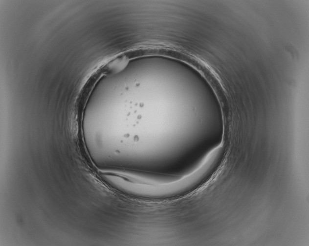 X0000113130973200909181706