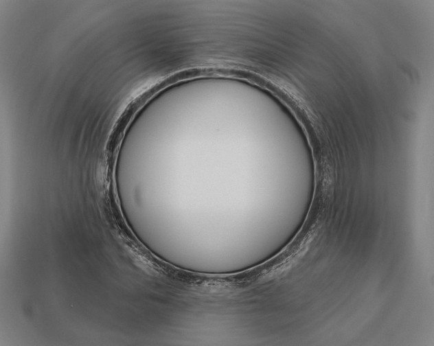 X0000113130974200909181706