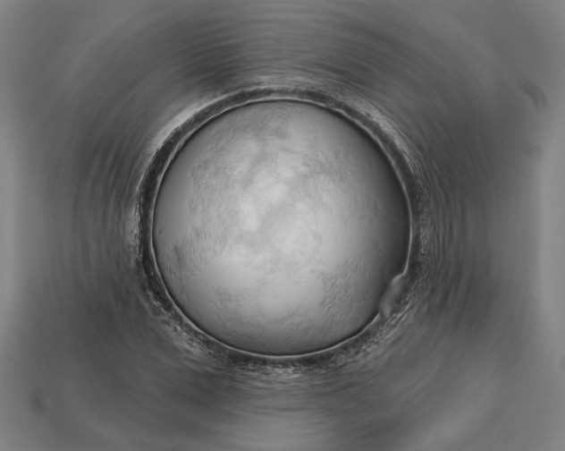 X0000113130975200909181706