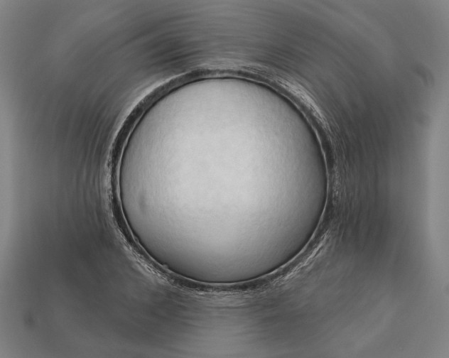 X0000113130976200909181706