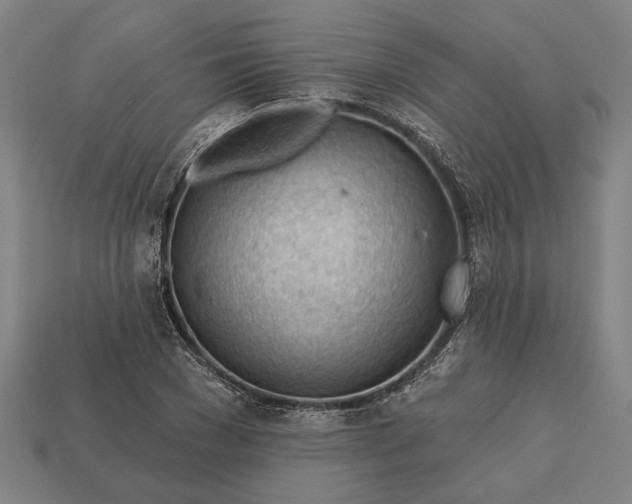 X0000113130977200909181706