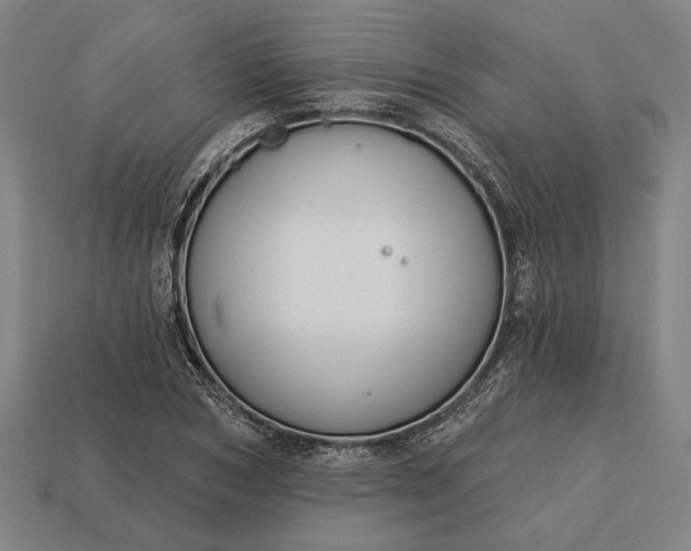 X0000113130978200909181706