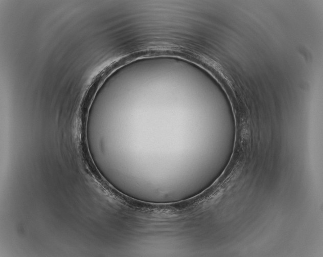 X0000113130979200909181706