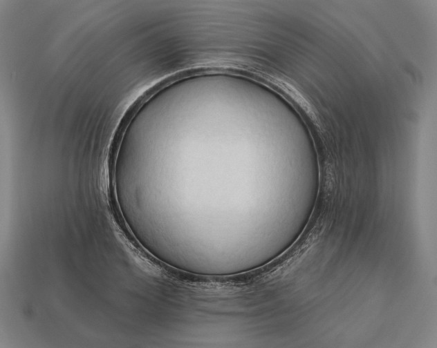 X0000113130980200909181706