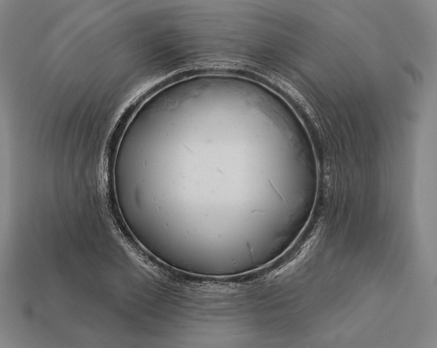 X0000113130981200909181706