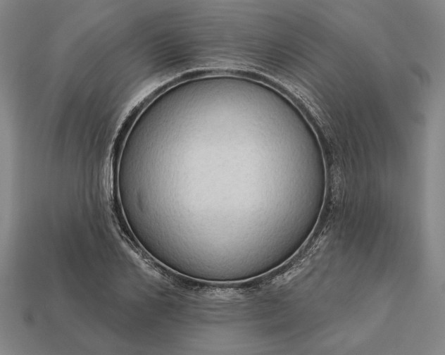 X0000113130982200909181706