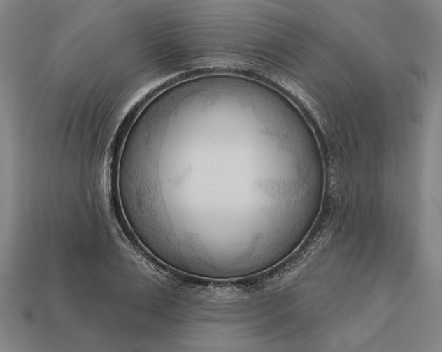 X0000113130983200909181706