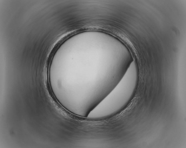 X0000113130984200909181706