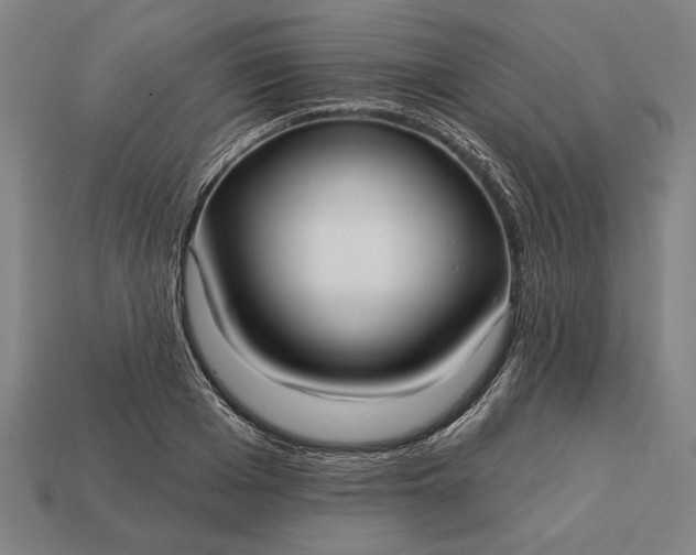 X0000113130985200909181706