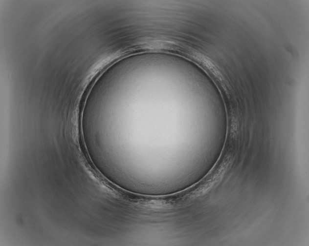 X0000113130986200909181706