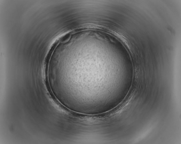 X0000113130987200909181706