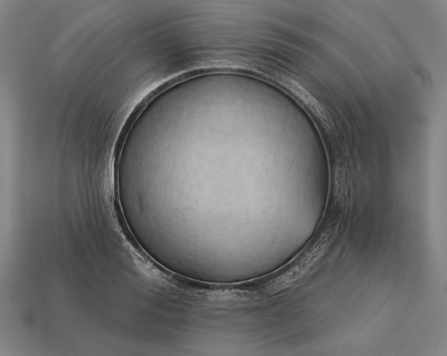 X0000113130988200909181706