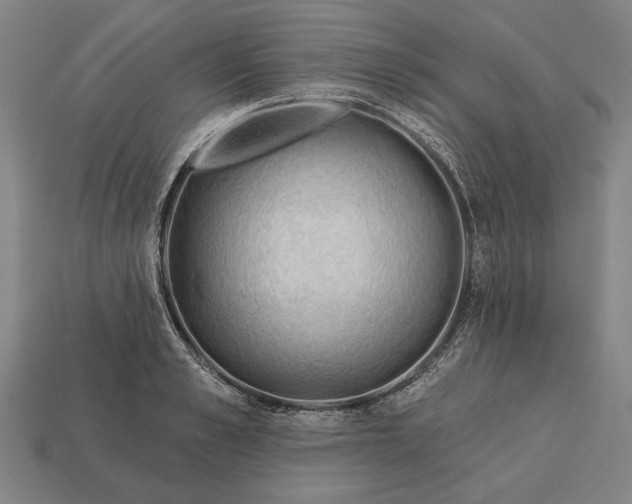 X0000113130989200909181706