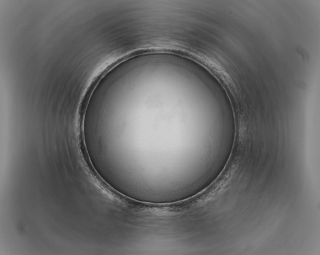 X0000113130990200909181706