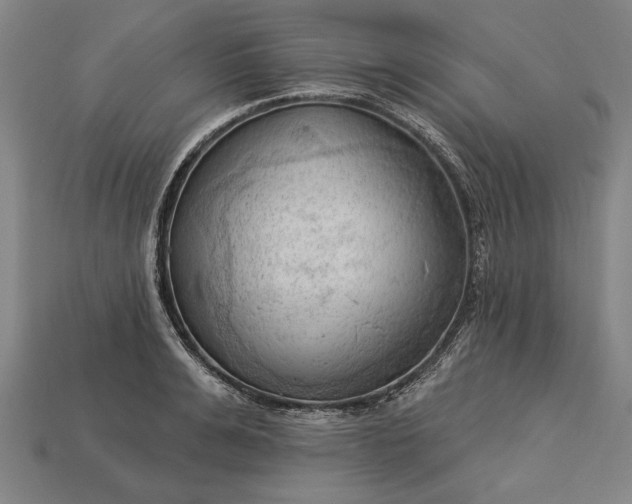 X0000113130991200909181706