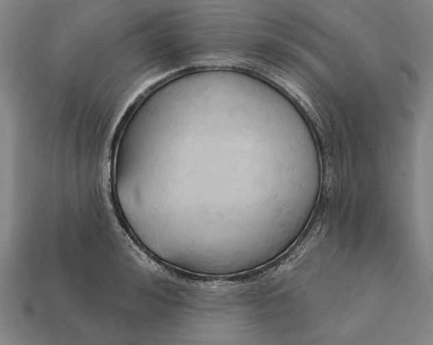 X0000113130992200909181706