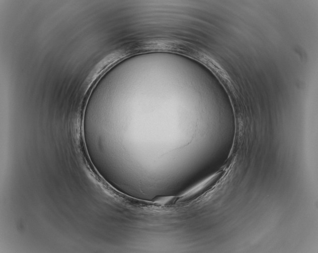 X0000113130994200909181706