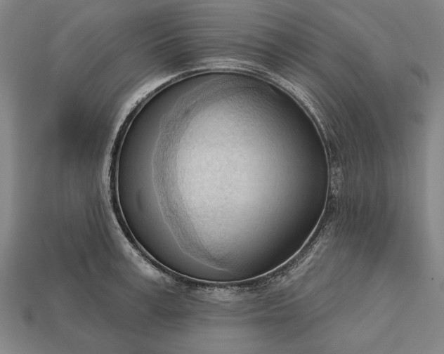 X0000113130995200909181706