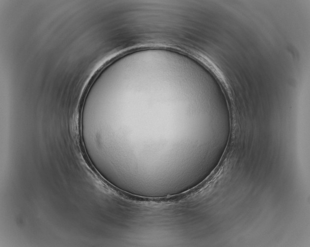 X0000113130996200909181706