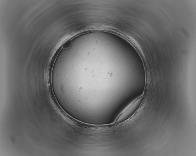 X0000113130997200909181705