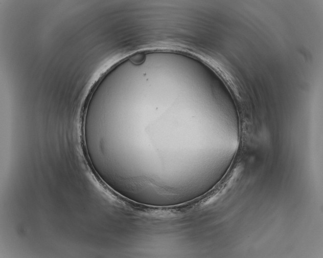 X0000113130998200909181705