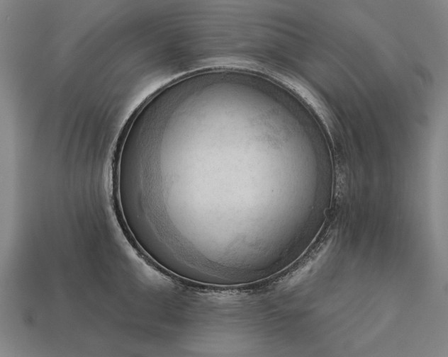 X0000113130999200909181705