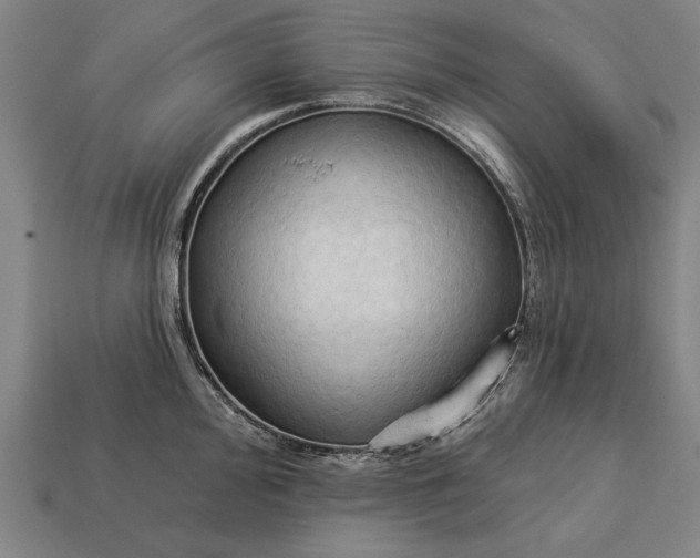 X0000113131000200909181705