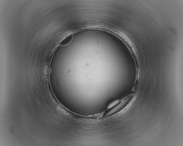 X0000113131001200909181705