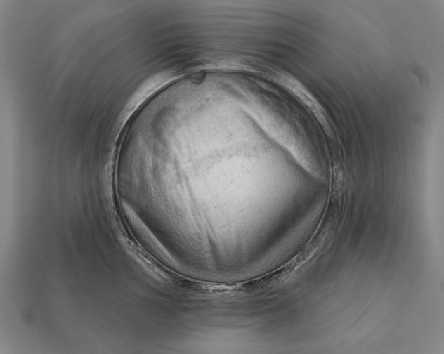 X0000113131002200909181705