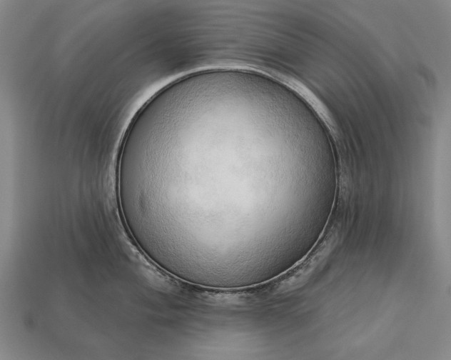 X0000113131004200909181705