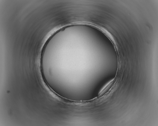 X0000113131005200909181705