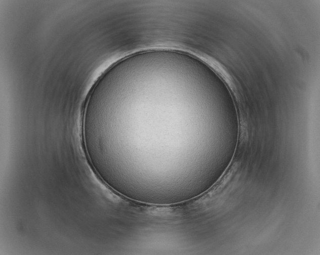 X0000113131006200909181705