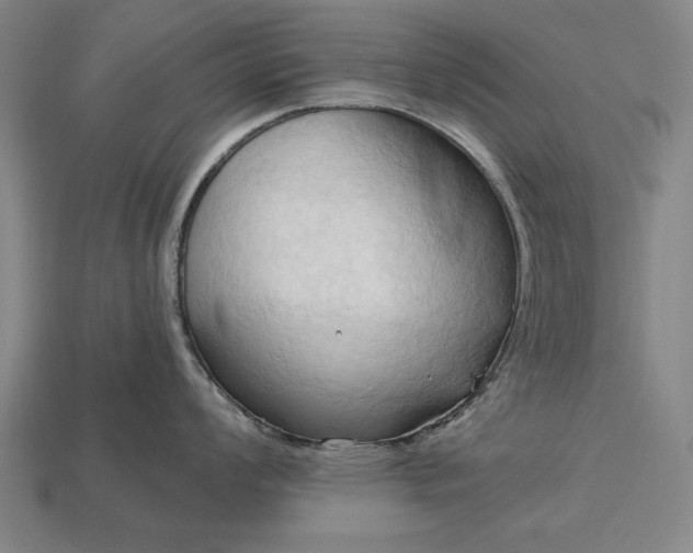 X0000113131008200909181705