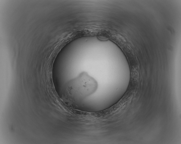 X0000113131009200909181705