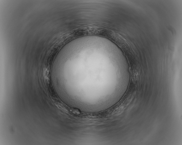 X0000113131010200909181705