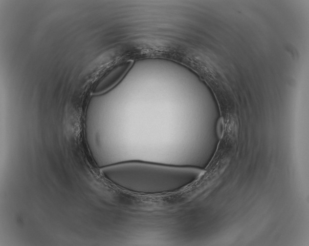 X0000113131012200909181705