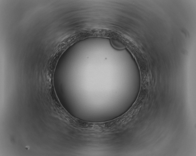 X0000113131013200909181705