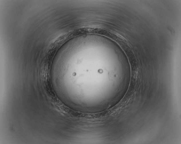 X0000113131014200909181705