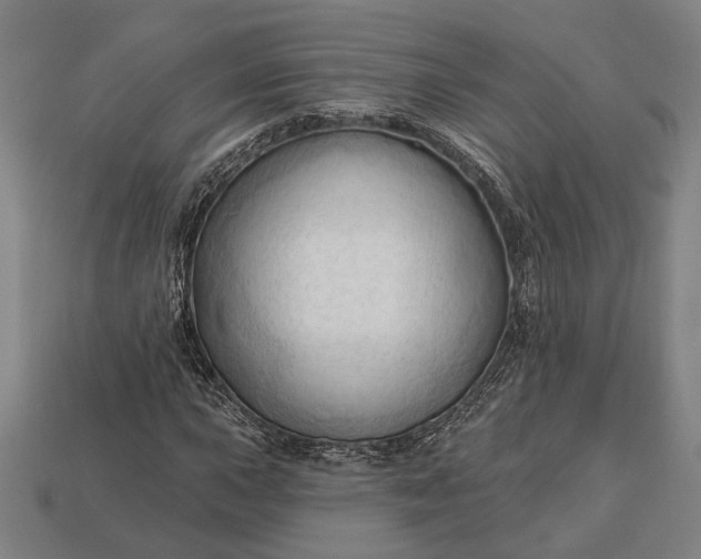 X0000113131015200909181705