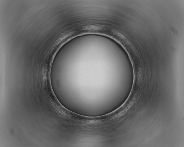 X0000113131017200909181705