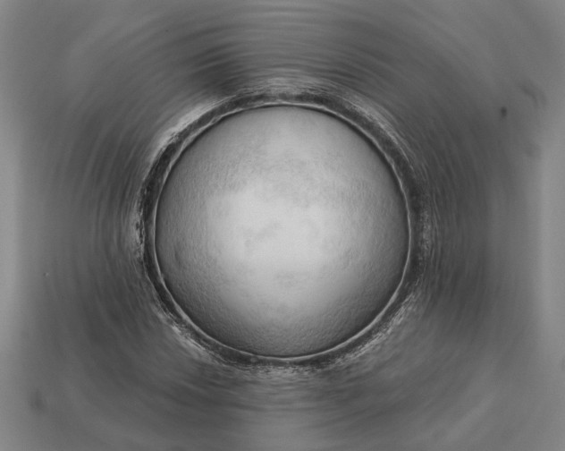 X0000113131018200909181705